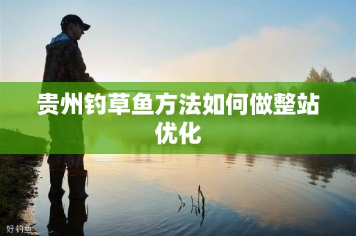 贵州钓草鱼方法如何做整站优化