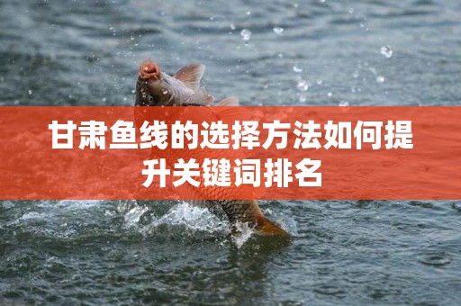 甘肃鱼线的选择方法如何提升关键词排名