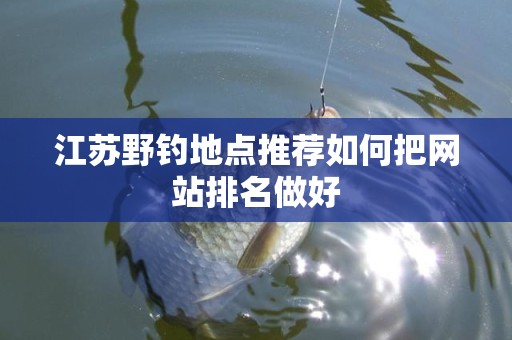 江苏野钓地点推荐如何把网站排名做好