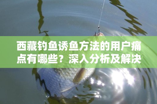 西藏钓鱼诱鱼方法的用户痛点有哪些？深入分析及解决方案