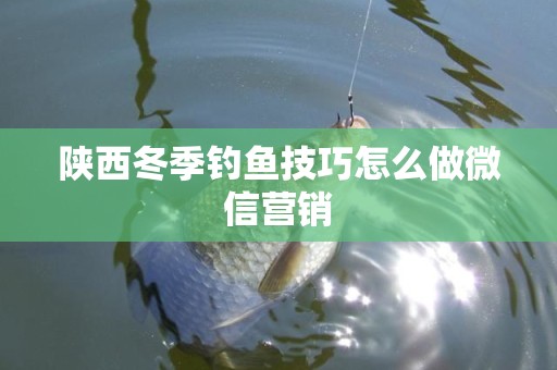 陕西冬季钓鱼技巧怎么做微信营销