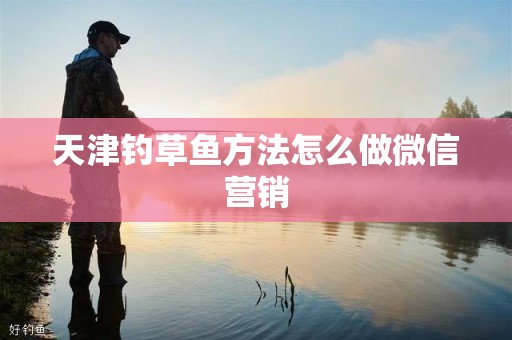 天津钓草鱼方法怎么做微信营销