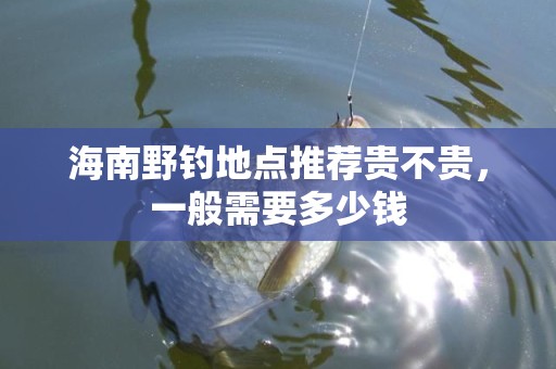 海南野钓地点推荐贵不贵，一般需要多少钱