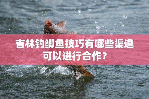 吉林钓鲫鱼技巧有哪些渠道可以进行合作？