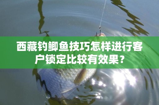 西藏钓鲫鱼技巧怎样进行客户锁定比较有效果？