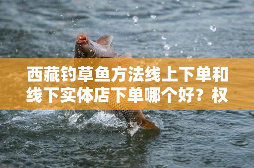 西藏钓草鱼方法线上下单和线下实体店下单哪个好？权威对比分析