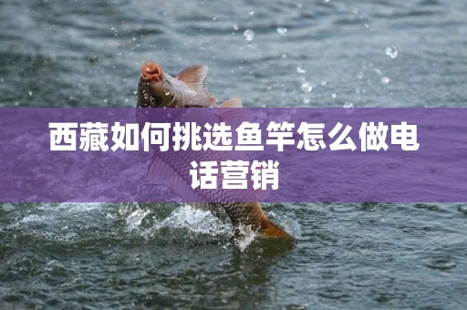 西藏如何挑选鱼竿怎么做电话营销