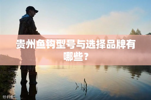 贵州鱼钩型号与选择品牌有哪些？