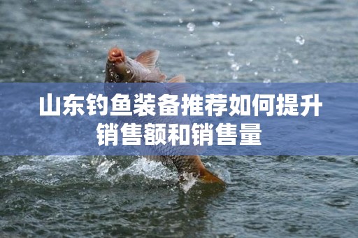 山东钓鱼装备推荐如何提升销售额和销售量