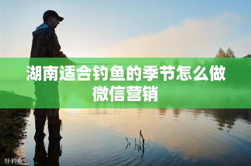湖南适合钓鱼的季节怎么做微信营销