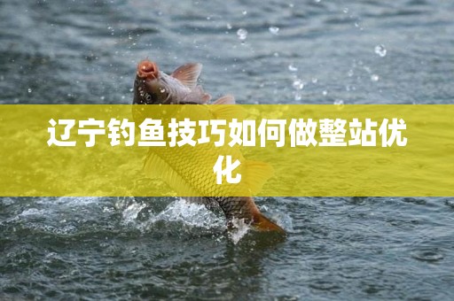 辽宁钓鱼技巧如何做整站优化