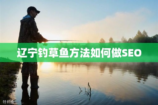 辽宁钓草鱼方法如何做SEO