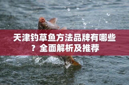 天津钓草鱼方法品牌有哪些？全面解析及推荐