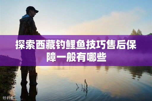 探索西藏钓鲤鱼技巧售后保障一般有哪些