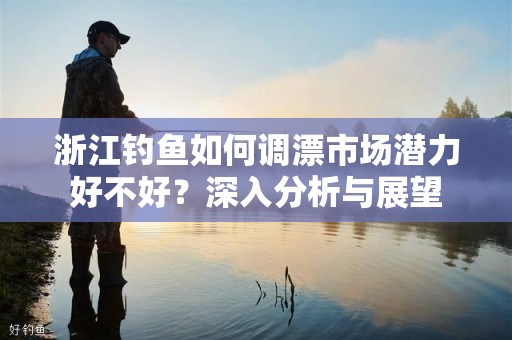 浙江钓鱼如何调漂市场潜力好不好？深入分析与展望