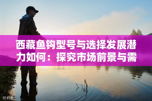 西藏鱼钩型号与选择发展潜力如何：探究市场前景与需求