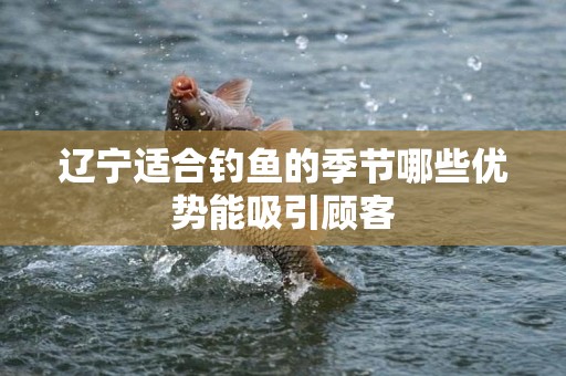 辽宁适合钓鱼的季节哪些优势能吸引顾客