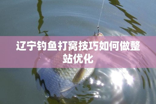 辽宁钓鱼打窝技巧如何做整站优化