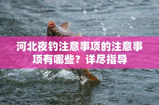 河北夜钓注意事项的注意事项有哪些？详尽指导