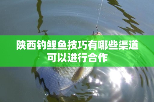 陕西钓鲤鱼技巧有哪些渠道可以进行合作