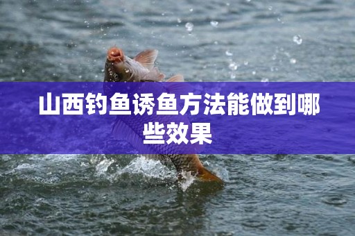 山西钓鱼诱鱼方法能做到哪些效果