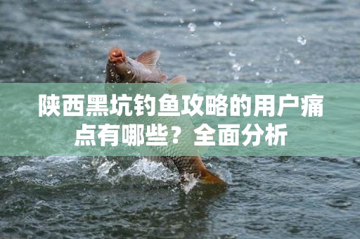 陕西黑坑钓鱼攻略的用户痛点有哪些？全面分析