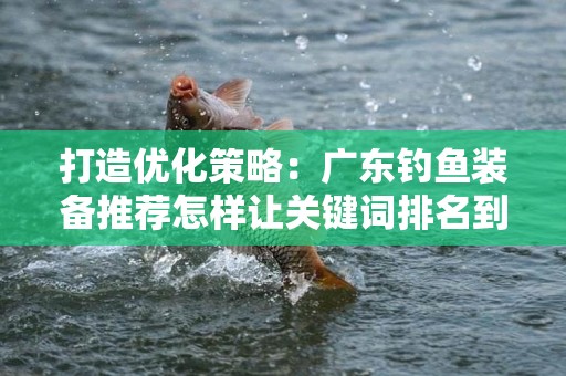 打造优化策略：广东钓鱼装备推荐怎样让关键词排名到首页
