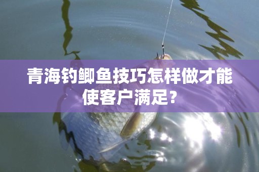 青海钓鲫鱼技巧怎样做才能使客户满足？