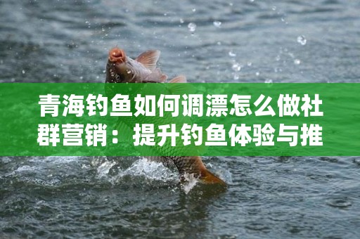 青海钓鱼如何调漂怎么做社群营销：提升钓鱼体验与推广的有效技巧