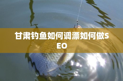 甘肃钓鱼如何调漂如何做SEO