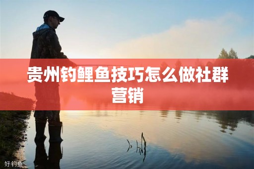 贵州钓鲤鱼技巧怎么做社群营销