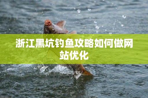 浙江黑坑钓鱼攻略如何做网站优化