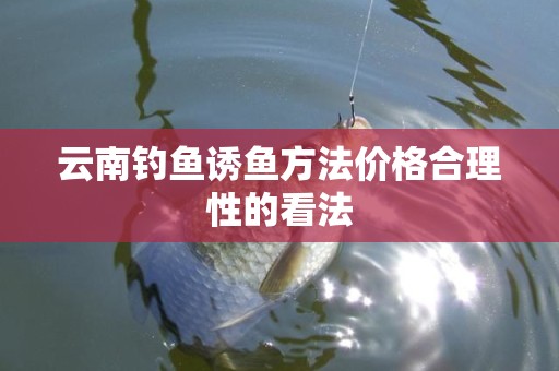 云南钓鱼诱鱼方法价格合理性的看法