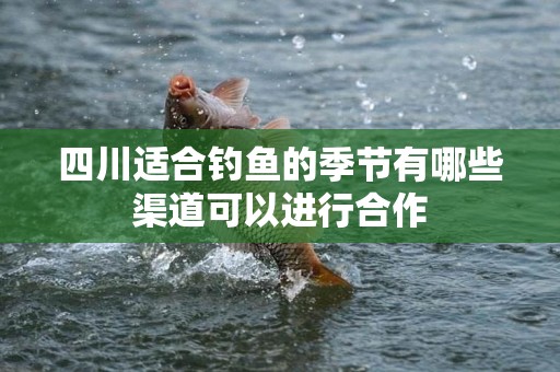 四川适合钓鱼的季节有哪些渠道可以进行合作