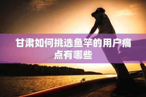 甘肃如何挑选鱼竿的用户痛点有哪些