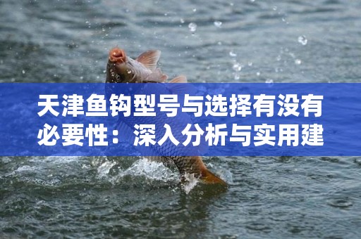天津鱼钩型号与选择有没有必要性：深入分析与实用建议