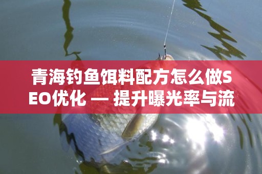 青海钓鱼饵料配方怎么做SEO优化 — 提升曝光率与流量