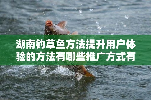 湖南钓草鱼方法提升用户体验的方法有哪些推广方式有哪些