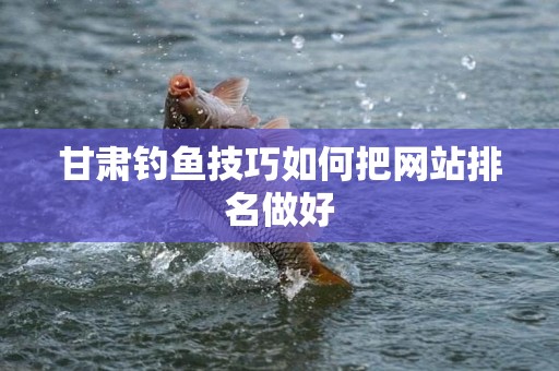 甘肃钓鱼技巧如何把网站排名做好