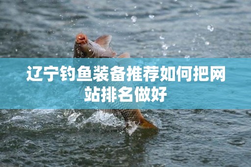 辽宁钓鱼装备推荐如何把网站排名做好