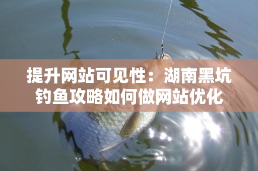 提升网站可见性：湖南黑坑钓鱼攻略如何做网站优化