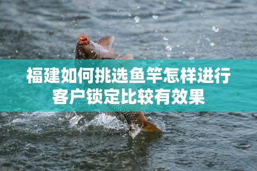 福建如何挑选鱼竿怎样进行客户锁定比较有效果