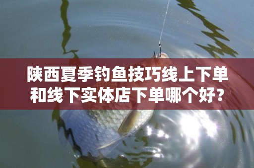 陕西夏季钓鱼技巧线上下单和线下实体店下单哪个好？