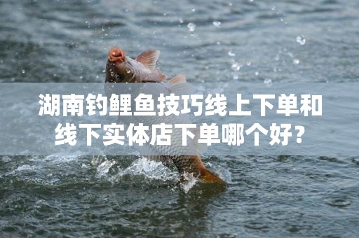 湖南钓鲤鱼技巧线上下单和线下实体店下单哪个好？