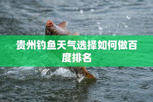 贵州钓鱼天气选择如何做百度排名