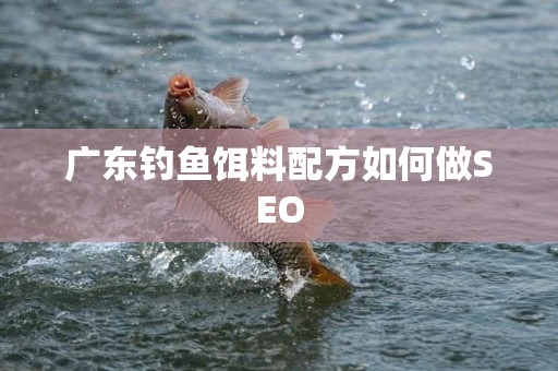 广东钓鱼饵料配方如何做SEO