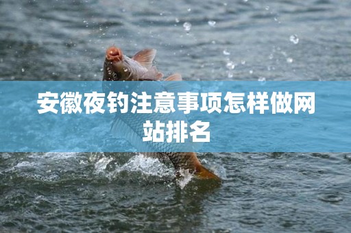 安徽夜钓注意事项怎样做网站排名