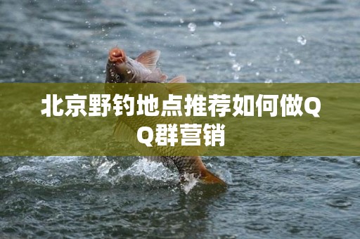 北京野钓地点推荐如何做QQ群营销