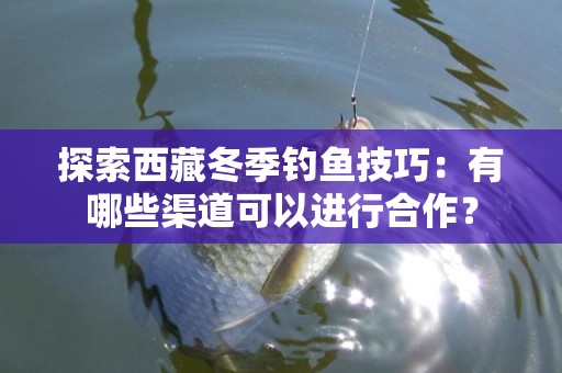 探索西藏冬季钓鱼技巧：有哪些渠道可以进行合作？