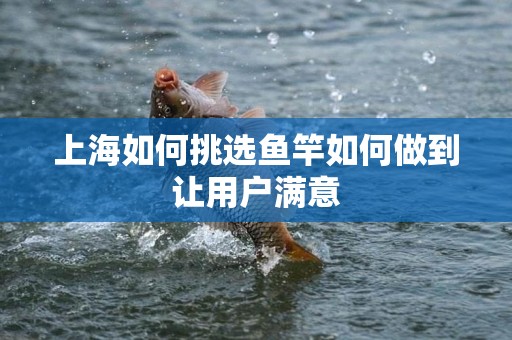 上海如何挑选鱼竿如何做到让用户满意